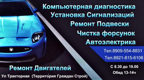 Вельск, компания: автосервис 29Vik